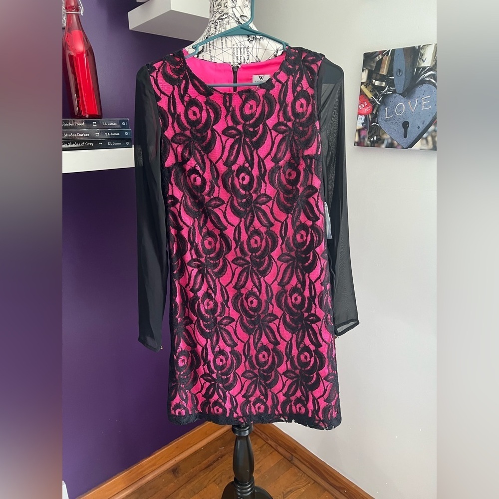 7 for $30 Worthington Long Sheer Sleeve Dress